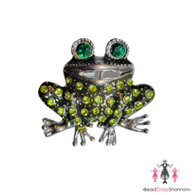 Load image into Gallery viewer, Prince Charming Frog Pin &amp; Necklace
